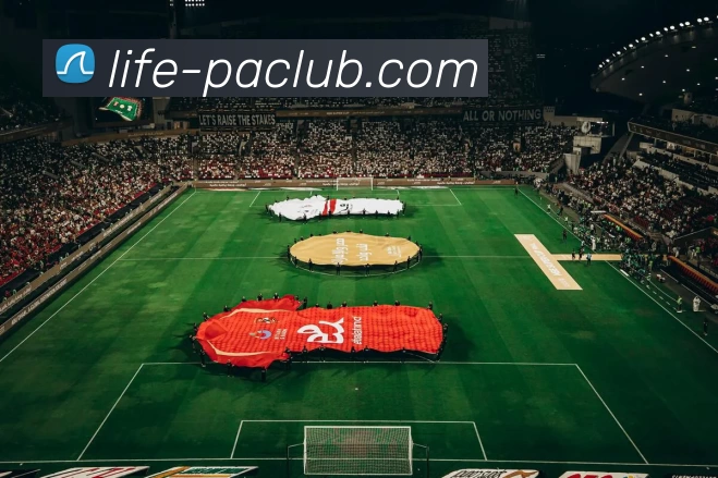 PA直营平台平台生态图